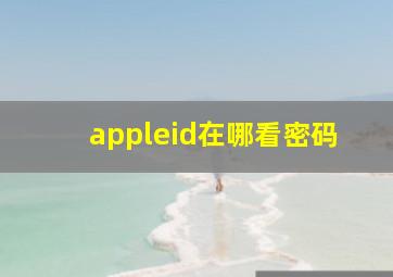 appleid在哪看密码