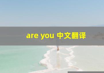 are you 中文翻译