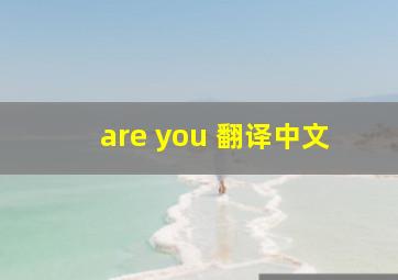 are you 翻译中文