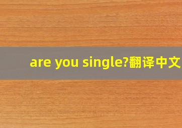 are you single?翻译中文