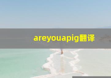 areyouapig翻译