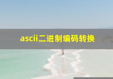 ascii二进制编码转换