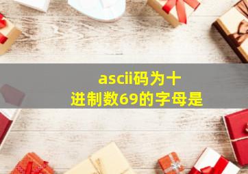 ascii码为十进制数69的字母是