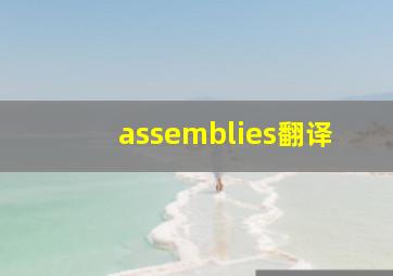 assemblies翻译