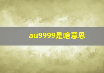 au9999是啥意思