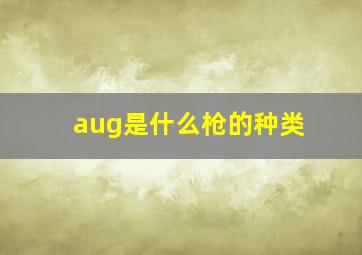 aug是什么枪的种类