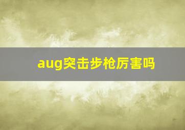 aug突击步枪厉害吗