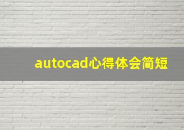 autocad心得体会简短