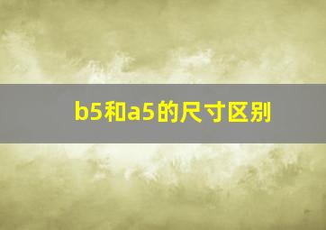 b5和a5的尺寸区别