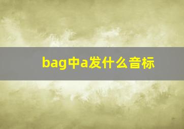 bag中a发什么音标