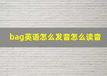 bag英语怎么发音怎么读音