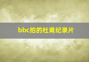 bbc拍的杜甫纪录片