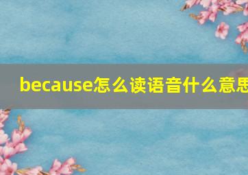 because怎么读语音什么意思