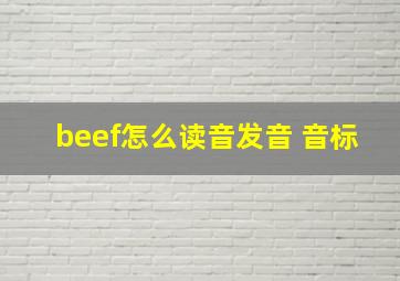 beef怎么读音发音 音标