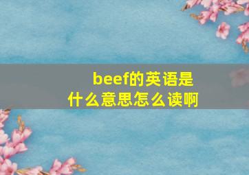 beef的英语是什么意思怎么读啊