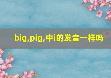 big,pig,中i的发音一样吗