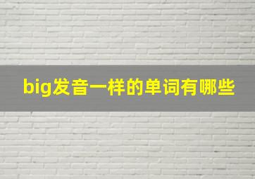 big发音一样的单词有哪些