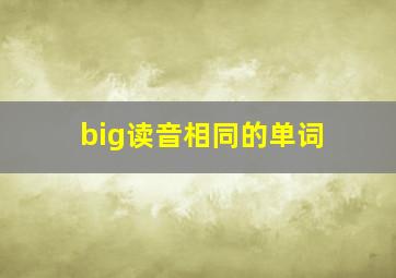 big读音相同的单词