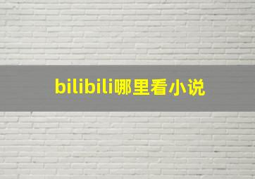 bilibili哪里看小说