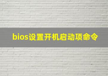 bios设置开机启动项命令