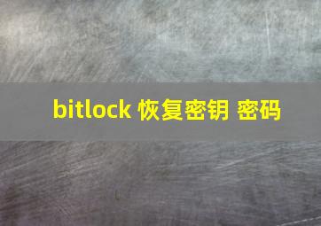 bitlock 恢复密钥 密码