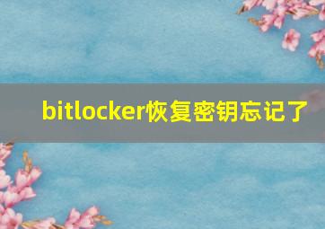 bitlocker恢复密钥忘记了