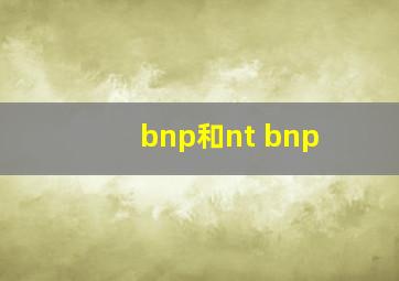 bnp和nt bnp