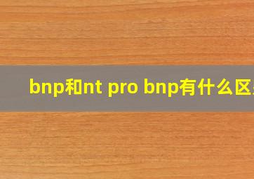 bnp和nt pro bnp有什么区别