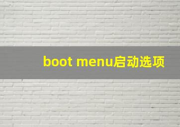 boot menu启动选项