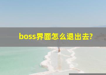 boss界面怎么退出去?