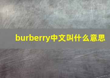 burberry中文叫什么意思