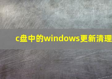 c盘中的windows更新清理