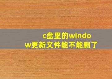 c盘里的window更新文件能不能删了