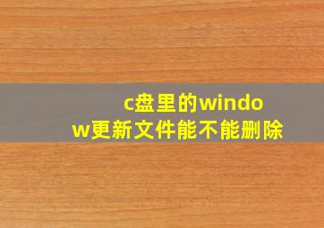 c盘里的window更新文件能不能删除