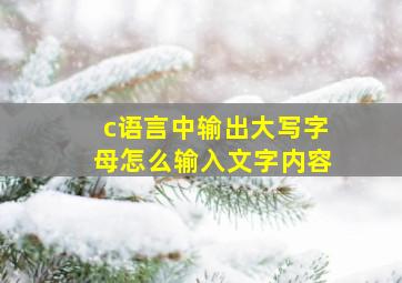 c语言中输出大写字母怎么输入文字内容