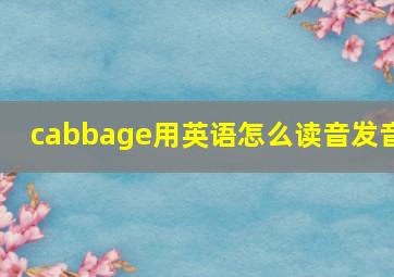 cabbage用英语怎么读音发音