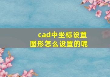 cad中坐标设置图形怎么设置的呢