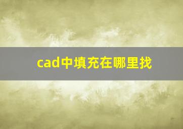 cad中填充在哪里找