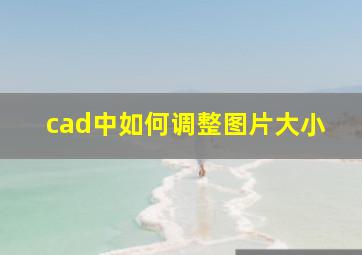 cad中如何调整图片大小