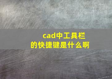 cad中工具栏的快捷键是什么啊