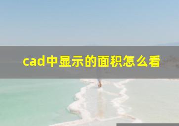 cad中显示的面积怎么看