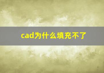 cad为什么填充不了