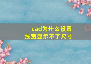 cad为什么设置线宽显示不了尺寸