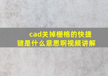 cad关掉栅格的快捷键是什么意思啊视频讲解