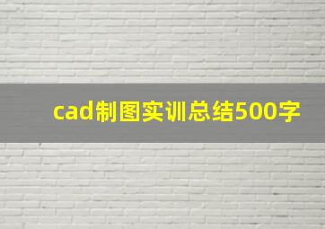 cad制图实训总结500字