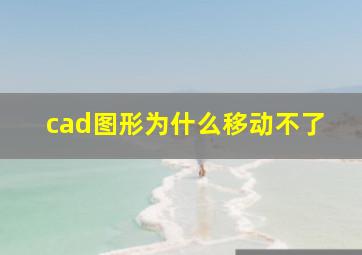 cad图形为什么移动不了