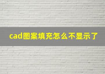 cad图案填充怎么不显示了