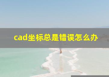 cad坐标总是错误怎么办