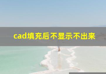 cad填充后不显示不出来