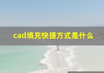 cad填充快捷方式是什么